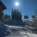 Lejlighed - Direkt An Der Skipiste - Mit Sauna *