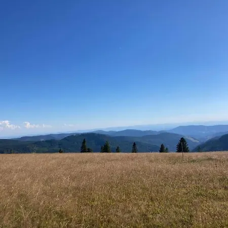 - Direkt An Der Skipiste - Mit Sauna Feldberg (Baden-Wurttemberg)