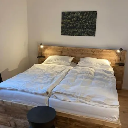 Daire - Direkt An Der Skipiste - Mit Sauna