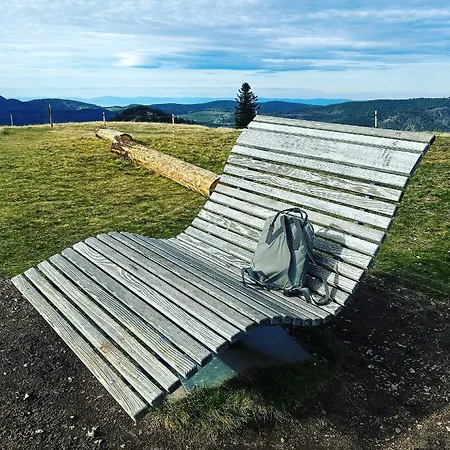 - Direkt An Der Skipiste - Mit Sauna * 费尔德伯格