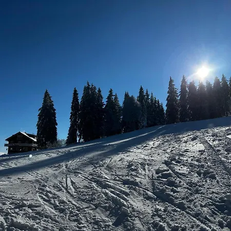 - Direkt An Der Skipiste - Mit Sauna