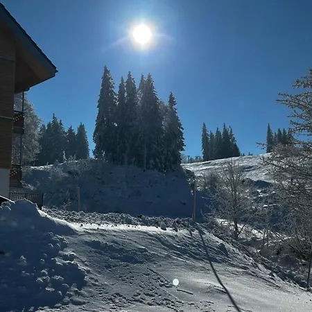 Daire - Direkt An Der Skipiste - Mit Sauna *