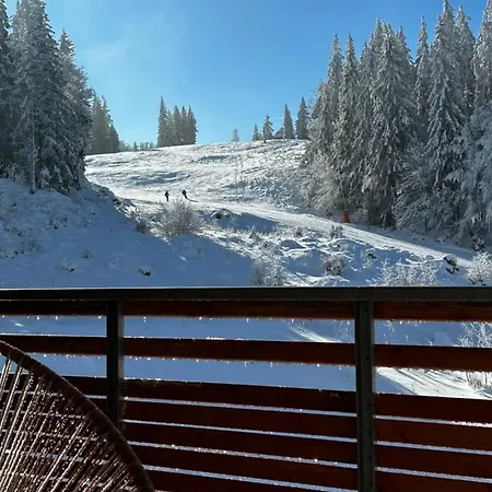 - Direkt An Der Skipiste - Mit Sauna * 费尔德伯格