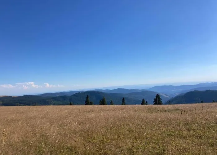 - Direkt An Der Skipiste - Mit Sauna Feldberg (Baden-Wurttemberg)