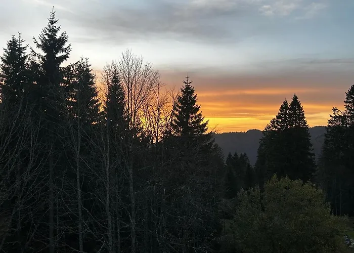 - Direkt An Der Skipiste - Mit Sauna Lägenhet *