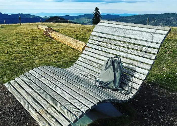 - Direkt An Der Skipiste - Mit Sauna * Feldberg (Baden-Wurttemberg)