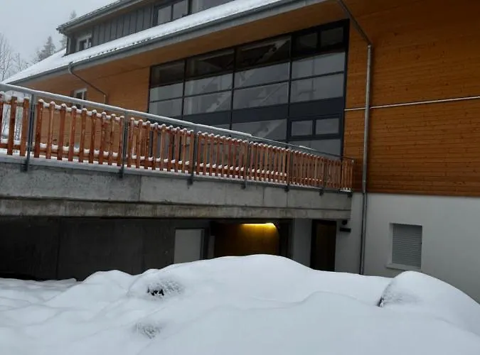 - Direkt An Der Skipiste - Mit Sauna Lägenhet *