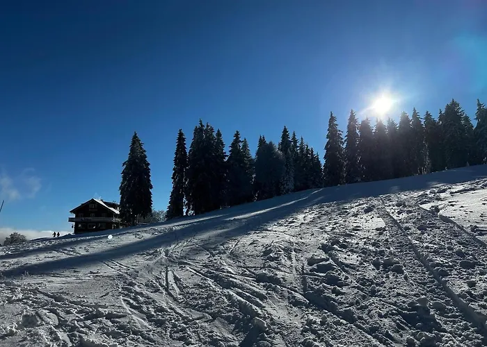 - Direkt An Der Skipiste - Mit Sauna